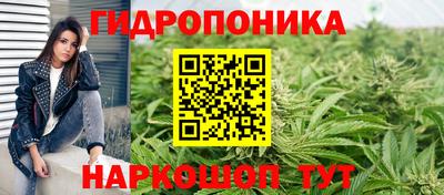 прущие грибы Нягань