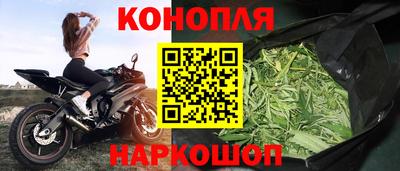 прущие грибы Нягань